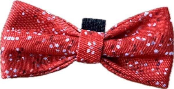 Bowtie - Image 9